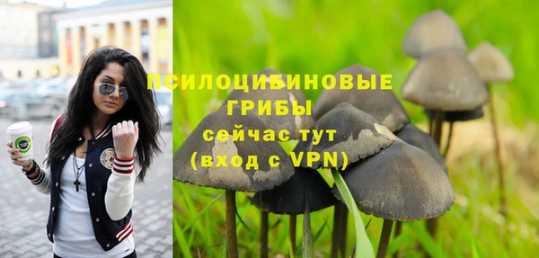 не бодяженный Гусиноозёрск