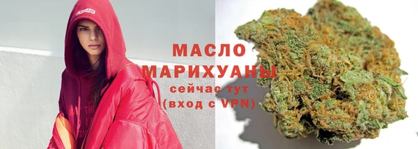 гашик Гусь-Хрустальный