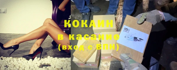 гашик Гусь-Хрустальный