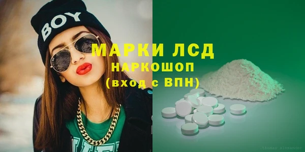 гашик Гусь-Хрустальный