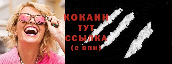 гашик Гусь-Хрустальный