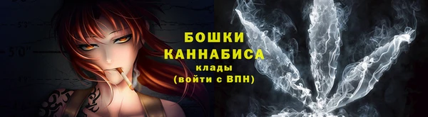 гашик Гусь-Хрустальный