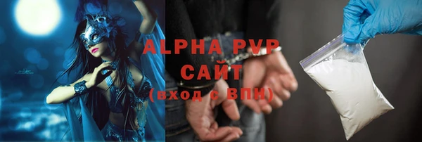 гашик Гусь-Хрустальный