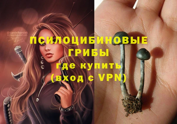 гашик Гусь-Хрустальный
