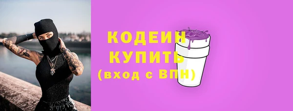 гашик Гусь-Хрустальный