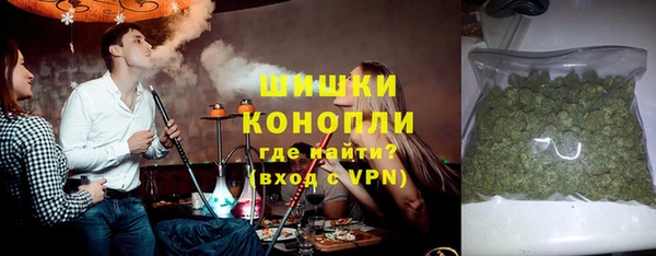 гашик Гусь-Хрустальный