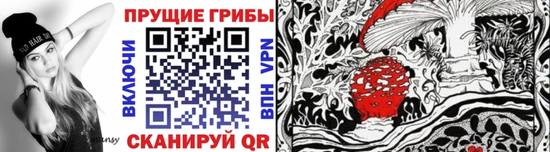 Галлюциногенные грибы прущие грибы Купить где Тайга